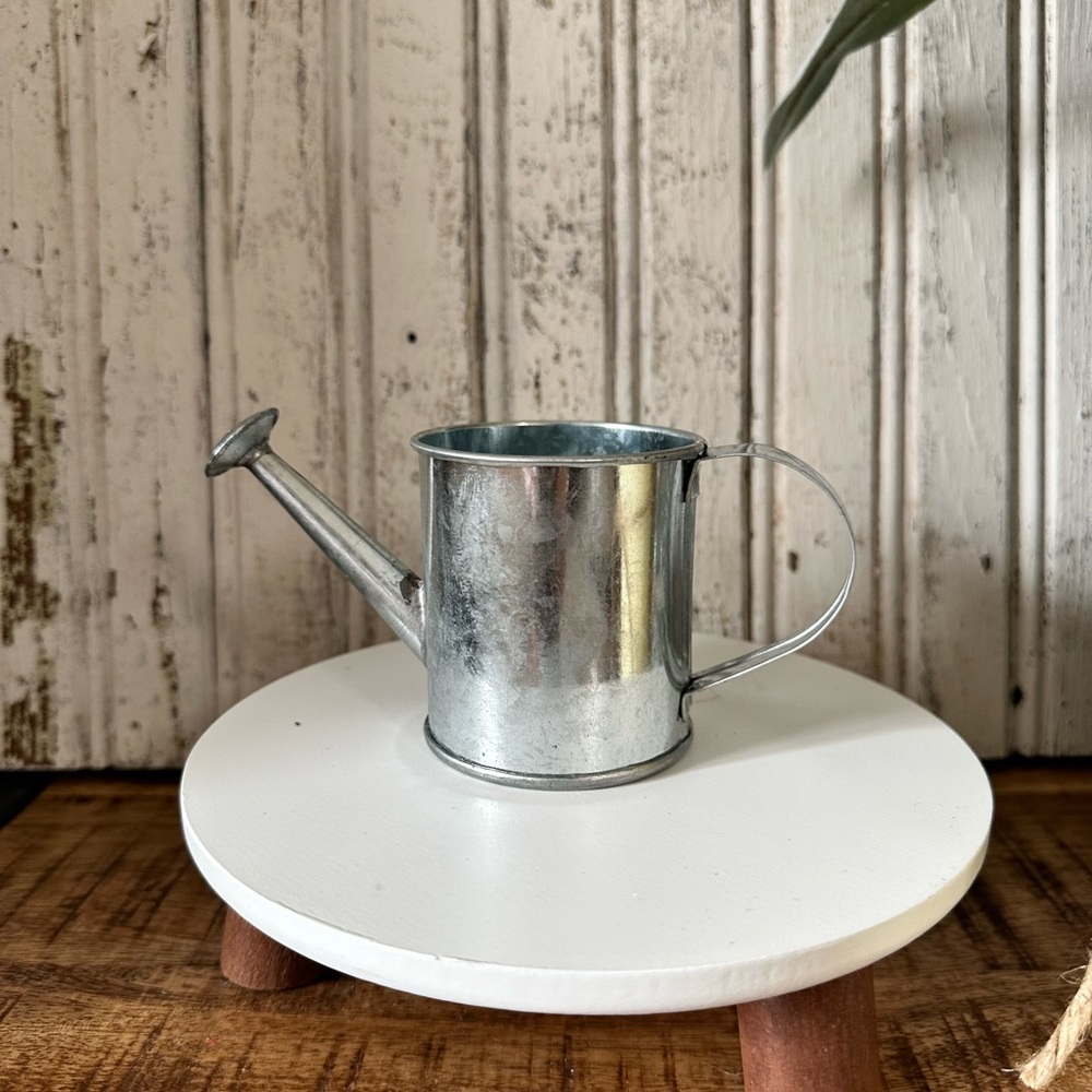Galvanized Watering Can for Tier Tray or Table Center Display